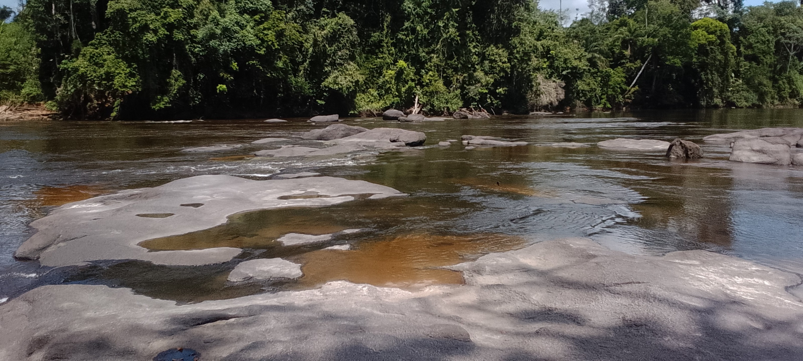 Back-to-Basic Jungle Hike