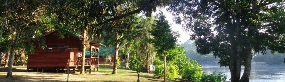 3 to 6 Day Jungle Resort Tours